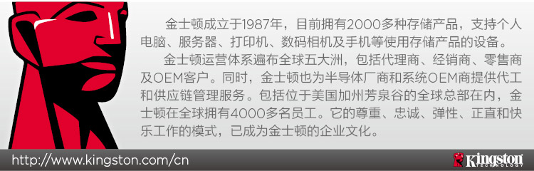 金士顿(Kingston)G2系列 120G M.2 228...-京东